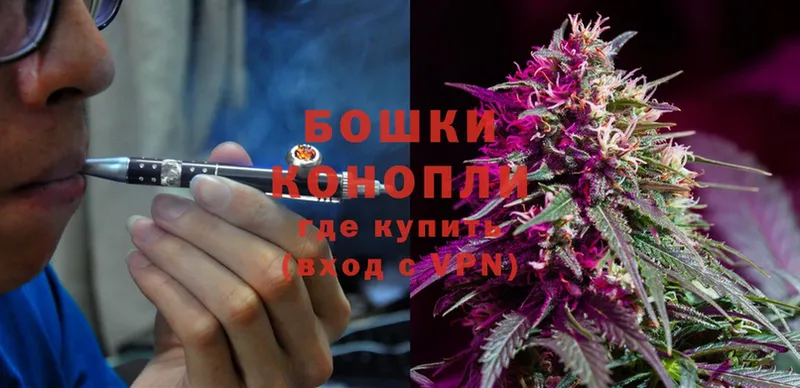 МЕГА ТОР  нарко площадка как зайти  Конопля SATIVA & INDICA  Прокопьевск 